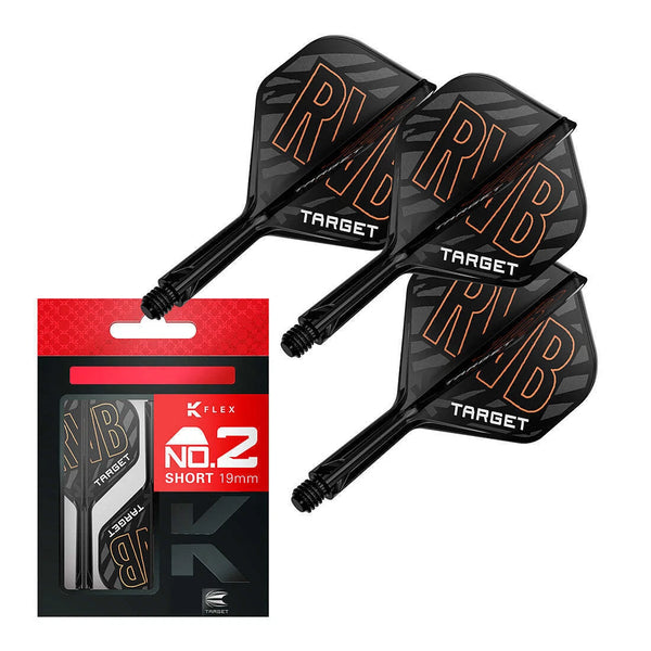 Raymond van Barneveld K-Flex No.2
