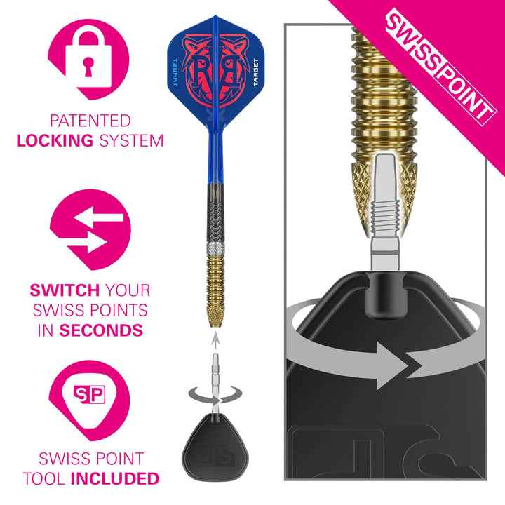 Raymond van Barneveld G6 Swiss Point Darts 95% Tungsten