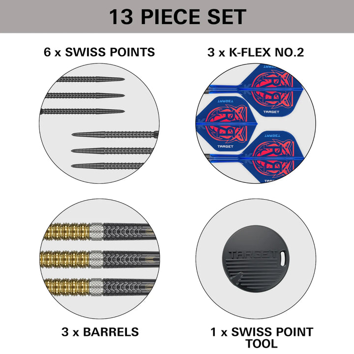 Raymond van Barneveld G6 Swiss Point Darts 95% Tungsten